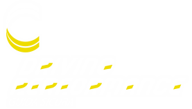 Driving Performance Logo