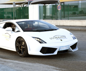 Test Drive Driving Performance