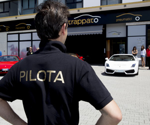 Test Drive Driving Performance